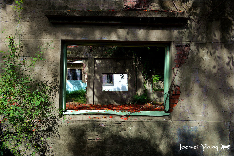 DSC_5687.JPG DSC_5687.JPG