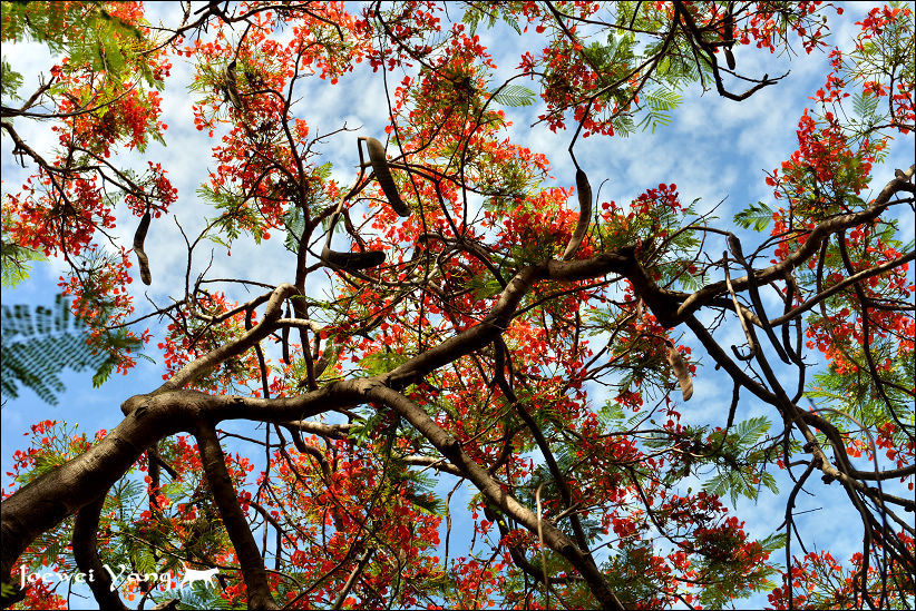 DSC_5691.JPG DSC_5691.JPG