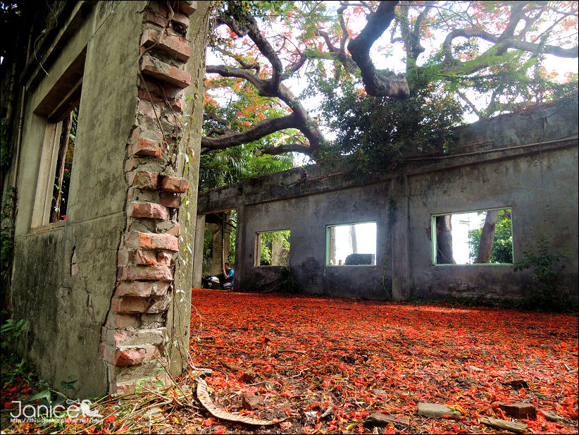 DSCN4625.JPG DSCN4625.JPG