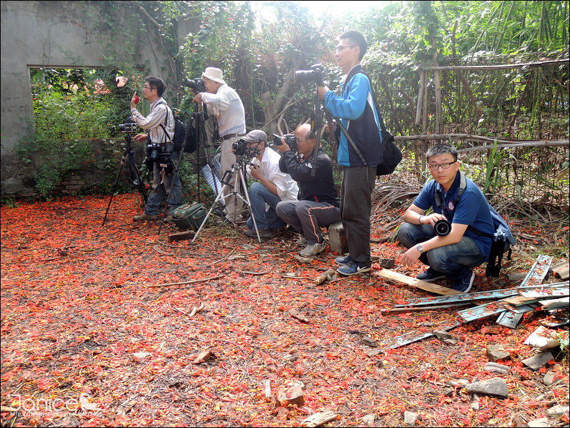 DSCN4634.JPG DSCN4634.JPG