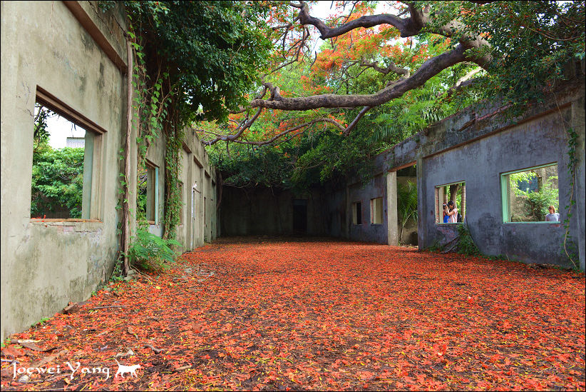 DSC_5713.JPG DSC_5713.JPG