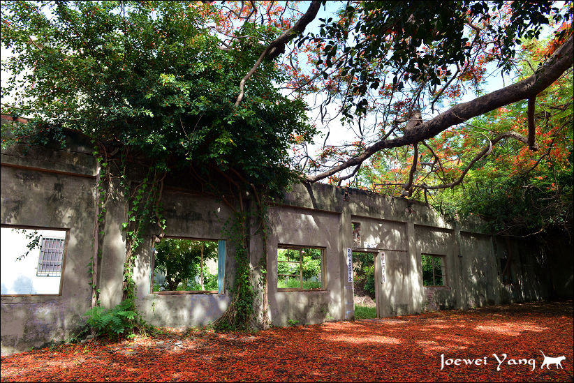 DSC_5688.JPG DSC_5688.JPG