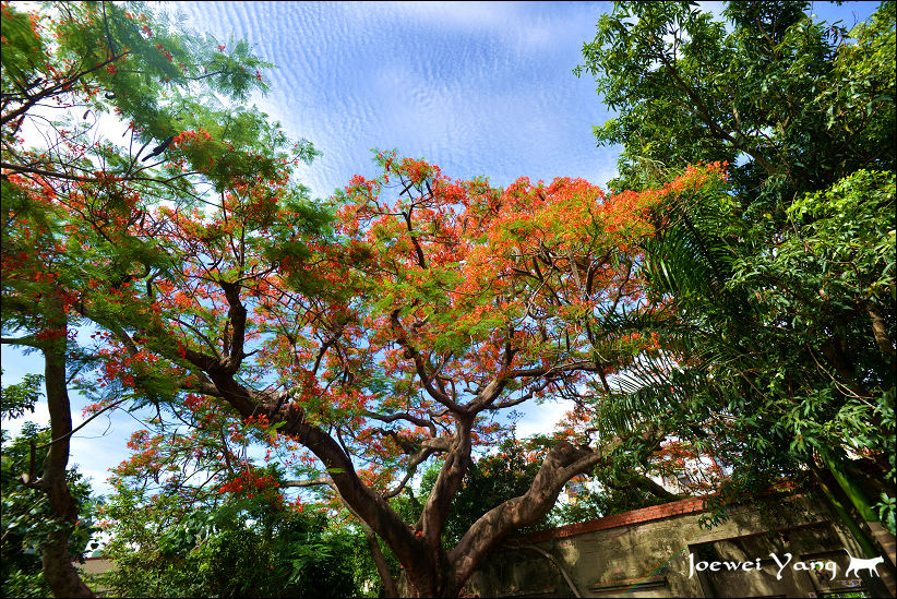 DSC_5669.JPG DSC_5669.JPG