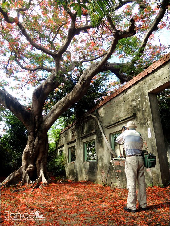 DSCN4610.JPG DSCN4610.JPG