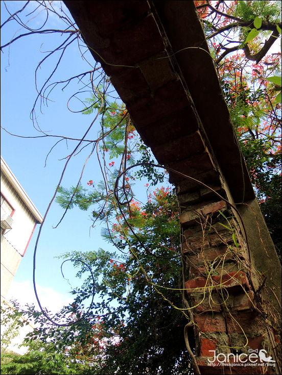 DSCN4630.JPG DSCN4630.JPG