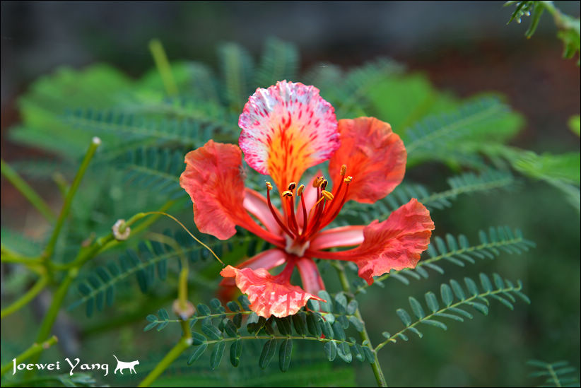 DSC_5704.JPG DSC_5704.JPG