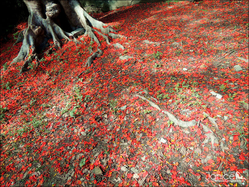 DSCN4611.JPG DSCN4611.JPG