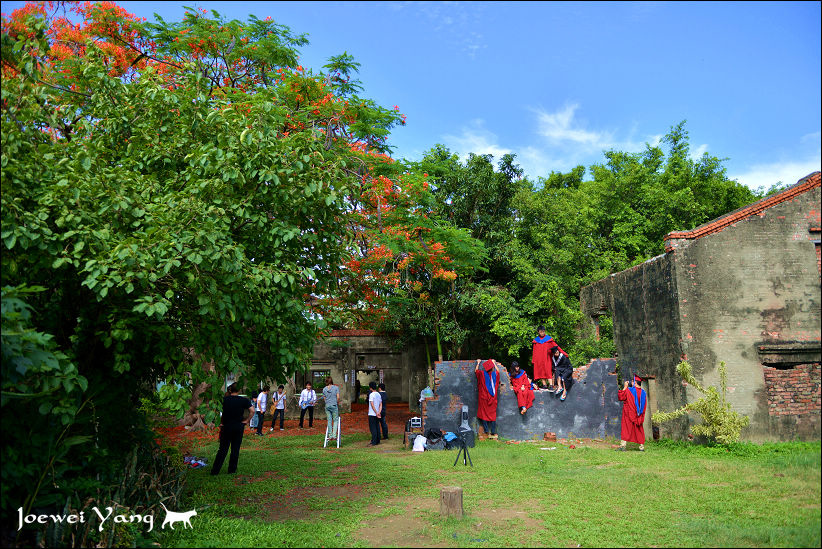 DSC_5726.JPG DSC_5726.JPG