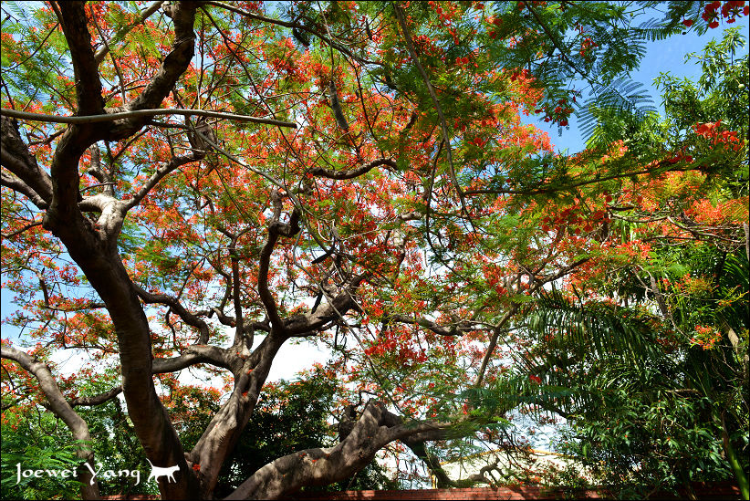 DSC_5660.JPG DSC_5660.JPG