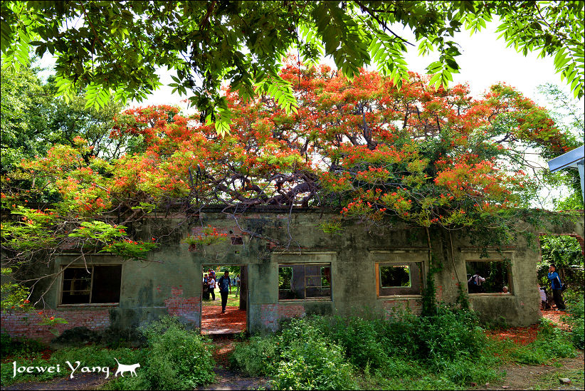 DSC_5699.JPG DSC_5699.JPG