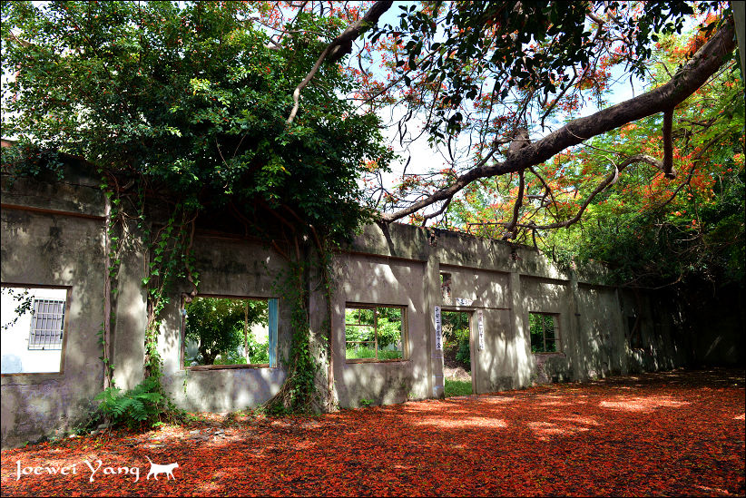 DSC_5684.JPG DSC_5684.JPG