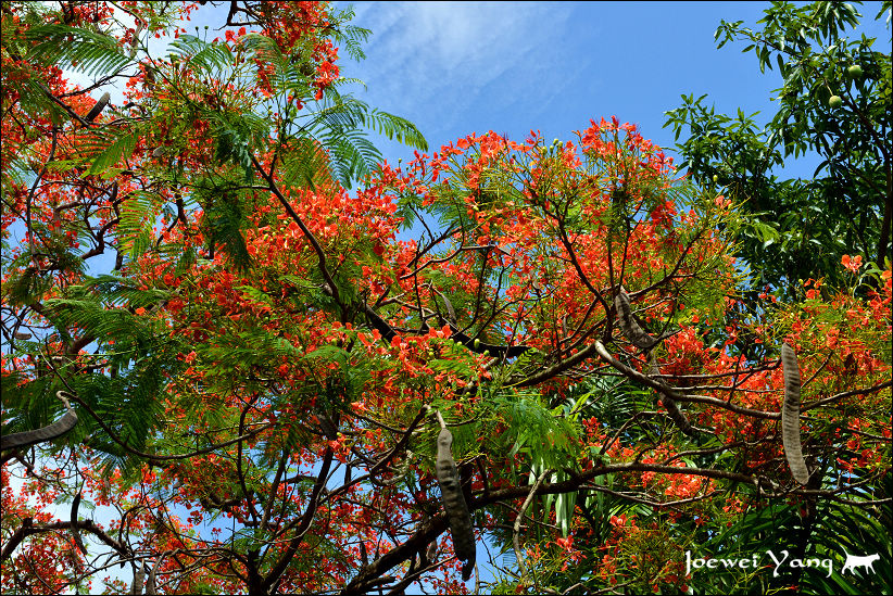 DSC_5665.JPG DSC_5665.JPG