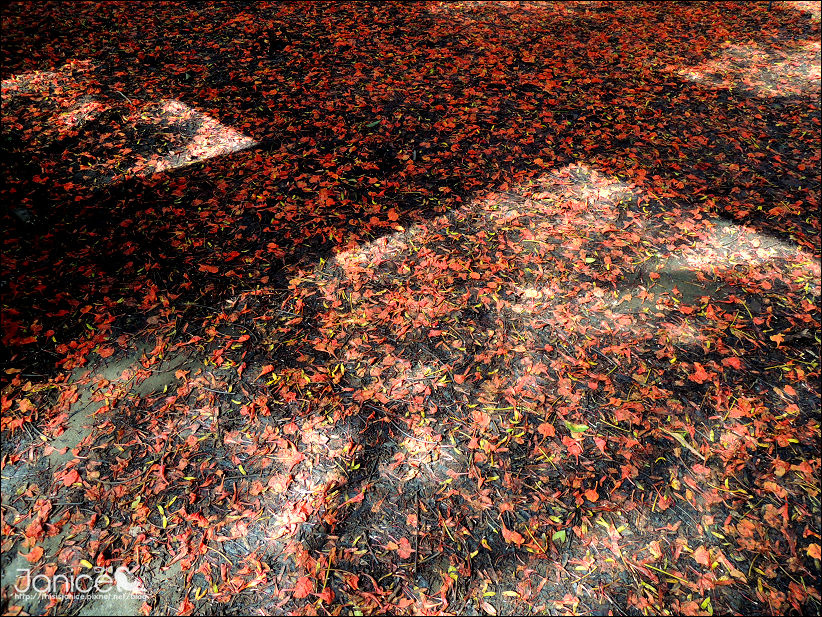 DSCN4618.JPG DSCN4618.JPG