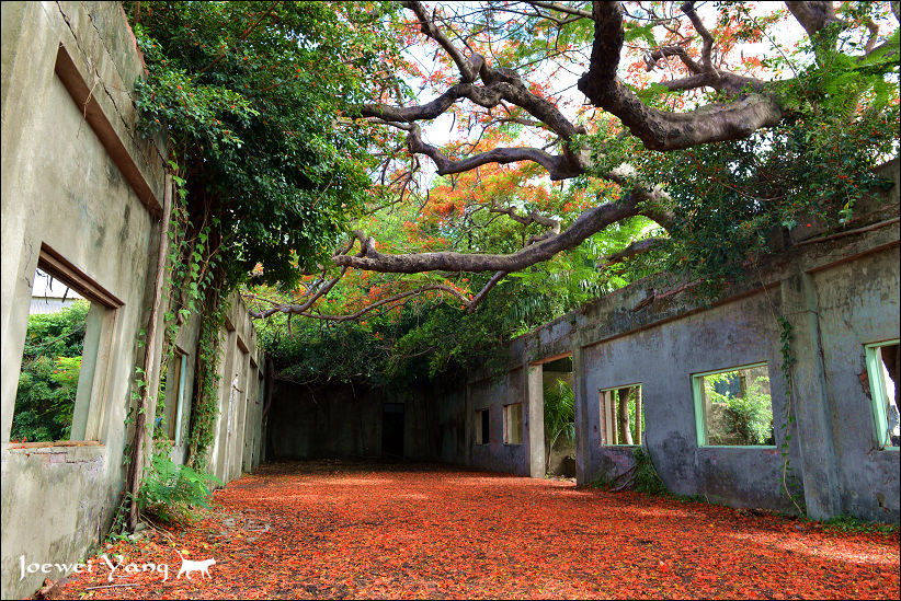 DSC_5706.JPG DSC_5706.JPG