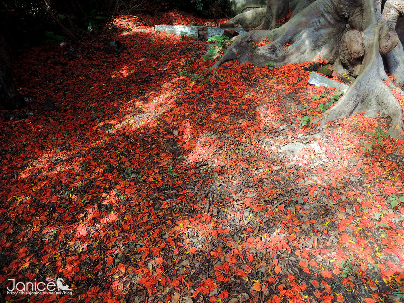 DSCN4612.JPG DSCN4612.JPG