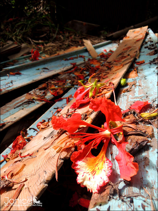 DSCN4627.JPG DSCN4627.JPG