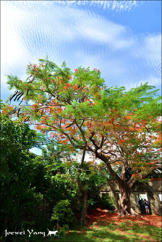 DSC_5671.JPG DSC_5671.JPG