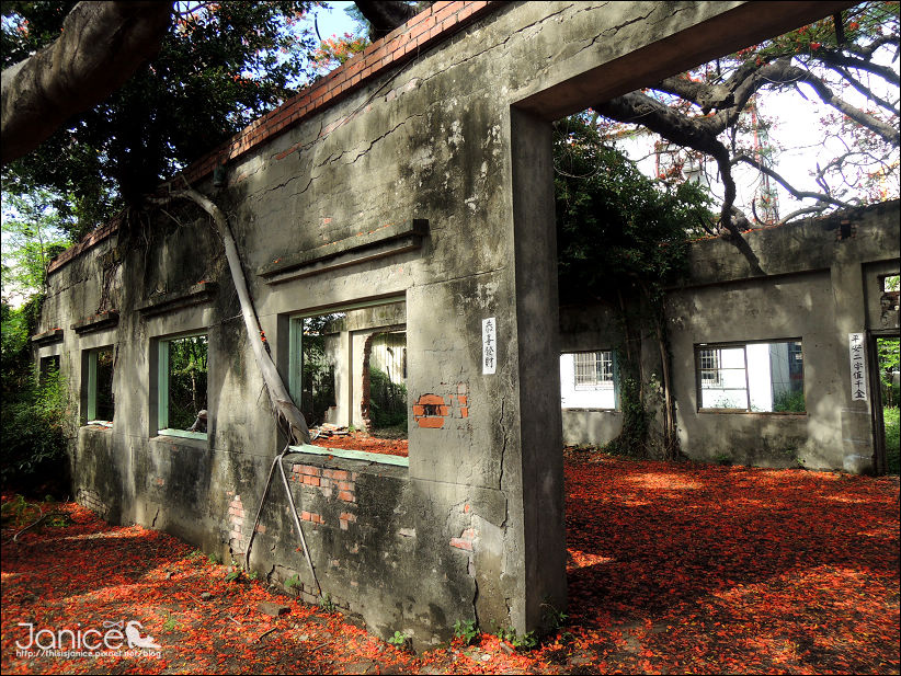 DSCN4619.JPG DSCN4619.JPG