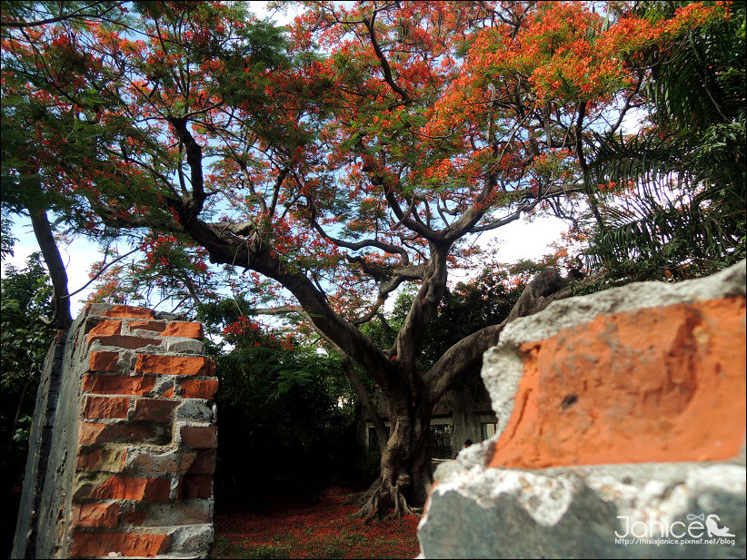 DSCN4607.JPG DSCN4607.JPG