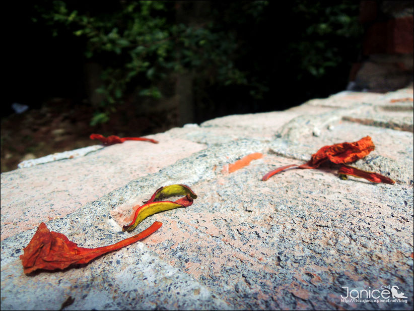 DSCN4608.JPG DSCN4608.JPG