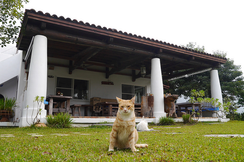 南投民宿x埔里民宿x微笑58