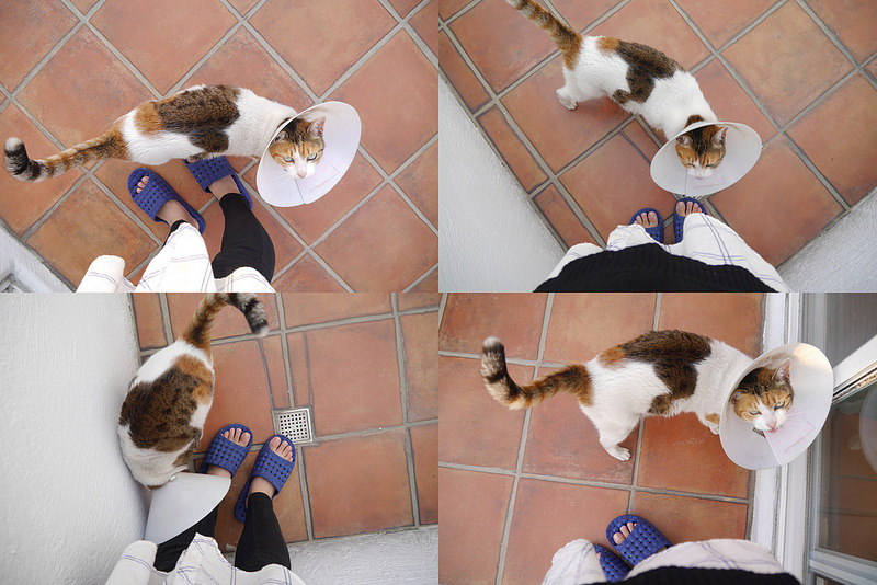 南投民宿x埔里民宿x微笑58