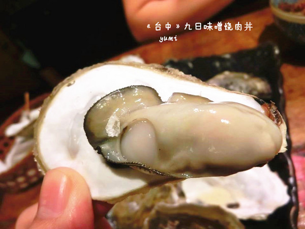 九日味噌燒肉丼專門店：【愛評口碑券§第52彈】遵古法製 以天然醃製呈現出食材美味@九日味噌燒肉丼專門店