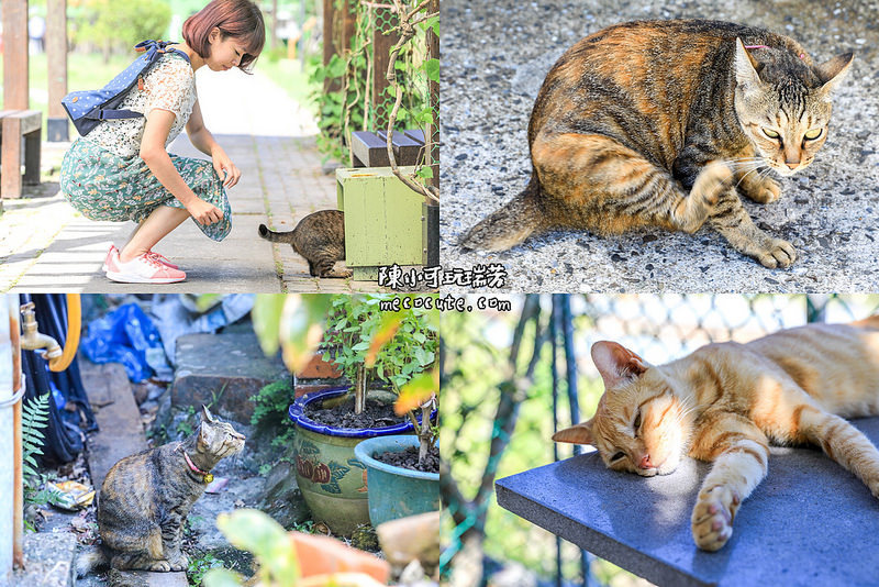 @陳小可的吃喝玩樂