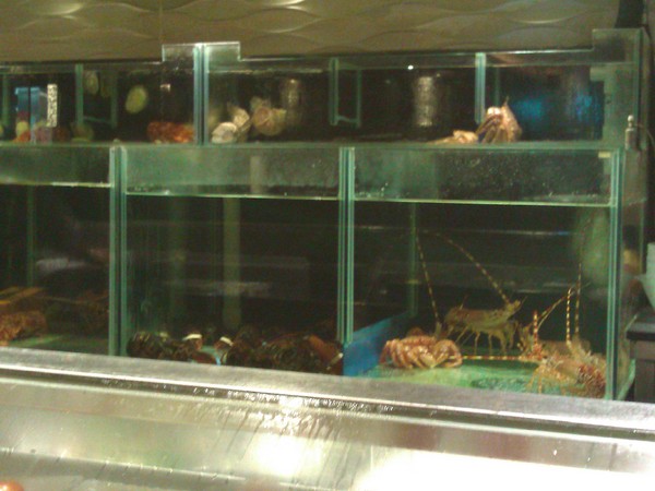 宸料理頂級日式料理:宸料理頂級日式料理~隱密的頂級招待所 宸料理頂級日式料理:宸料理頂級日式料理~隱密的頂級招待所