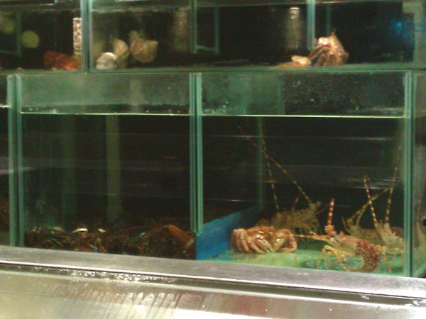 宸料理頂級日式料理:宸料理頂級日式料理~隱密的頂級招待所 宸料理頂級日式料理:宸料理頂級日式料理~隱密的頂級招待所