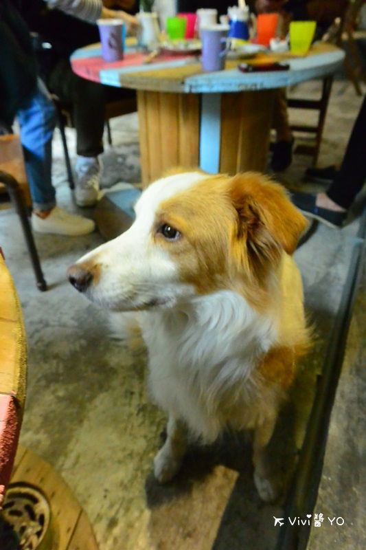 DSC_8831.JPG DSC_8831.JPG