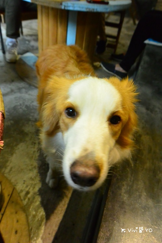 DSC_8830.JPG DSC_8830.JPG