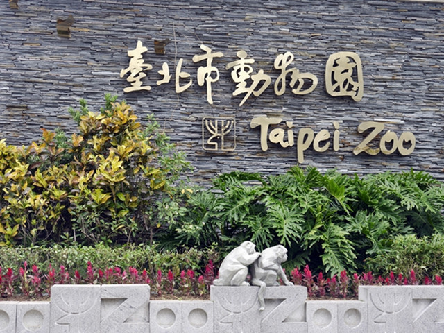 【吃喝．台北】浣熊主題咖啡館／穿越九千公里交給你～咖啡館+洗衣店／浣熊與牧羊犬萌店長融化你的心