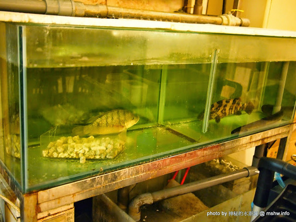 全師傅美食創意料理館：【食記】彰化Chef Creativity Ingredients 全師傅美食創意料理館@和美 : 傳統食材創意展現,吃原味的好地方