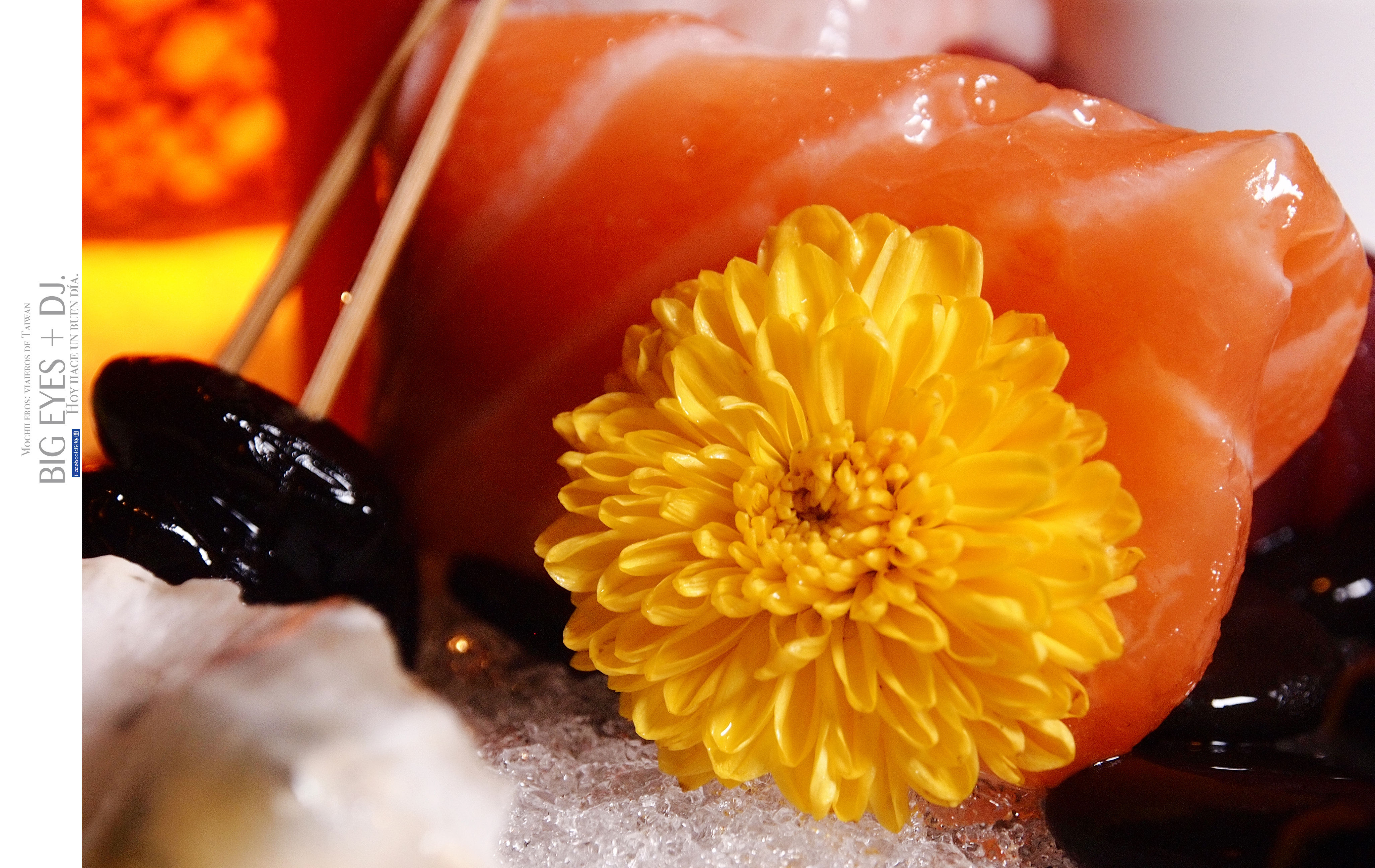 100986.jpg 100986.jpg