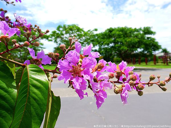 P1140594_结果.JPG P1140594_结果.JPG