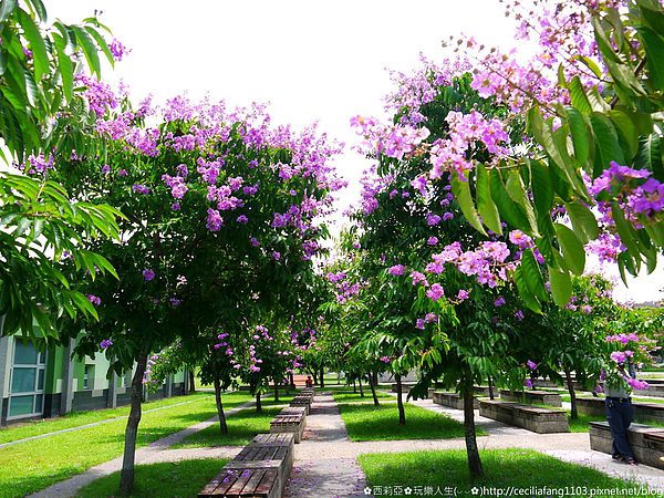 P1140585_结果.JPG P1140585_结果.JPG