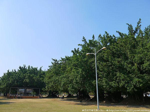 P1100830_结果.JPG P1100830_结果.JPG