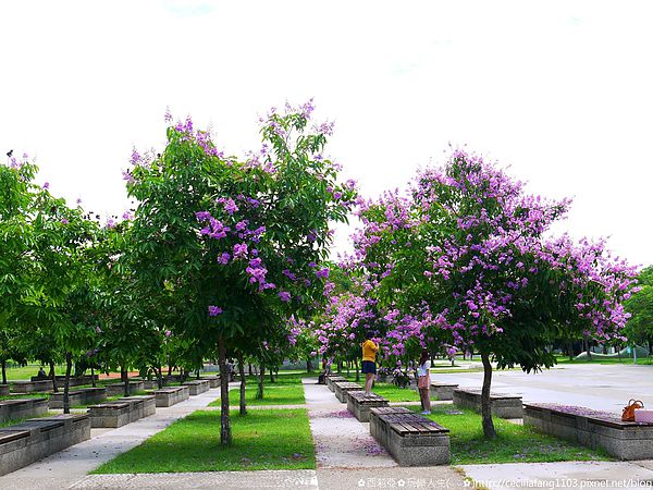 P1140574_结果.JPG P1140574_结果.JPG