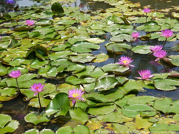 P1140623_结果.JPG P1140623_结果.JPG