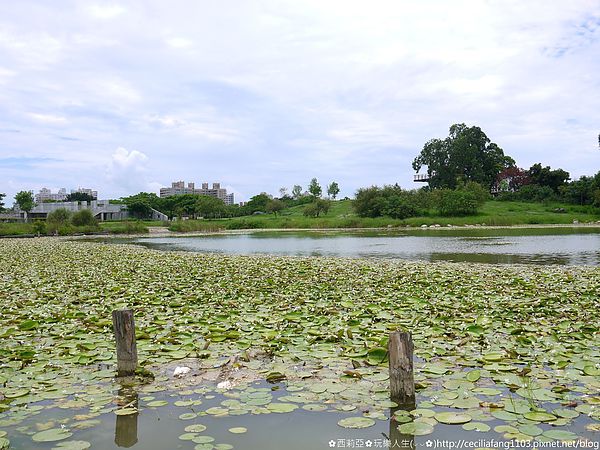 P1140614_结果.JPG P1140614_结果.JPG