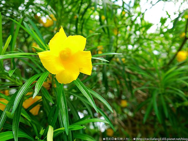 P1140573_结果.JPG P1140573_结果.JPG