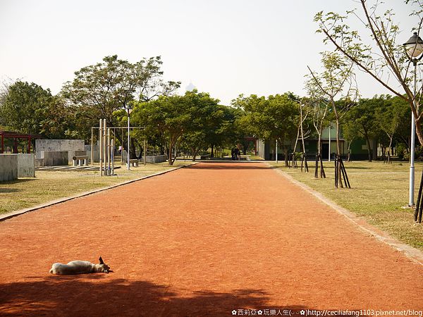 P1100798_结果.JPG P1100798_结果.JPG