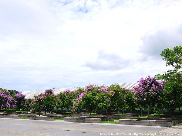 P1140597_结果.JPG P1140597_结果.JPG