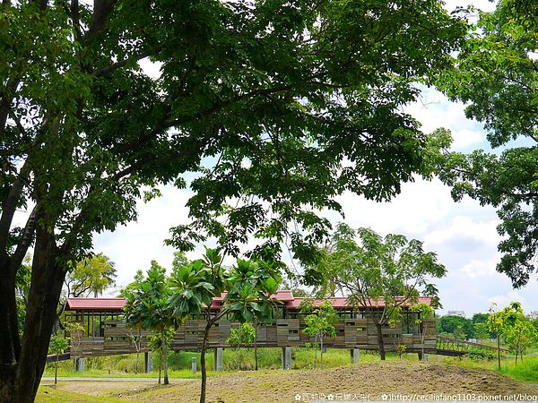 P1140548_结果.JPG P1140548_结果.JPG