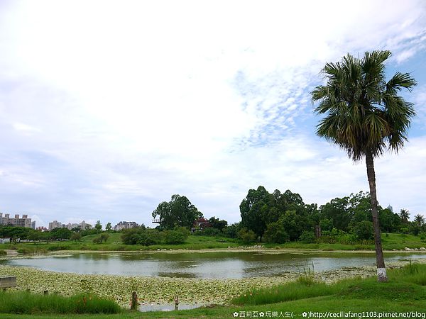 P1140613_结果.JPG P1140613_结果.JPG