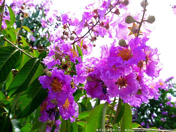 P1140578_结果.JPG P1140578_结果.JPG