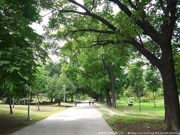 P1140557_结果.JPG P1140557_结果.JPG