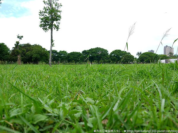 P1140607_结果.JPG P1140607_结果.JPG