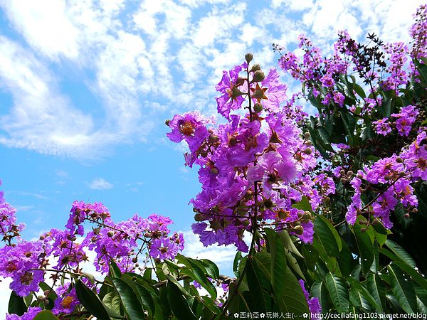 P1140581_结果.JPG P1140581_结果.JPG